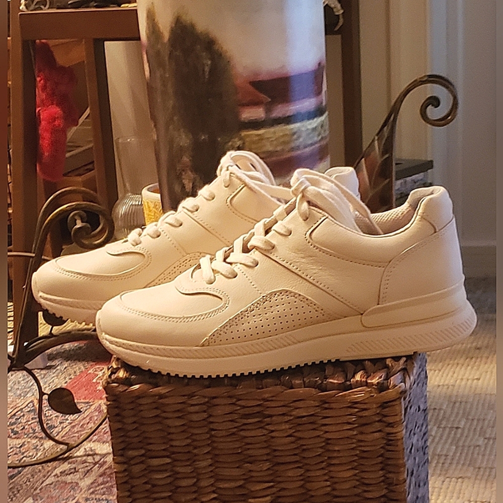 Everlane "The Trainer" Sneakers